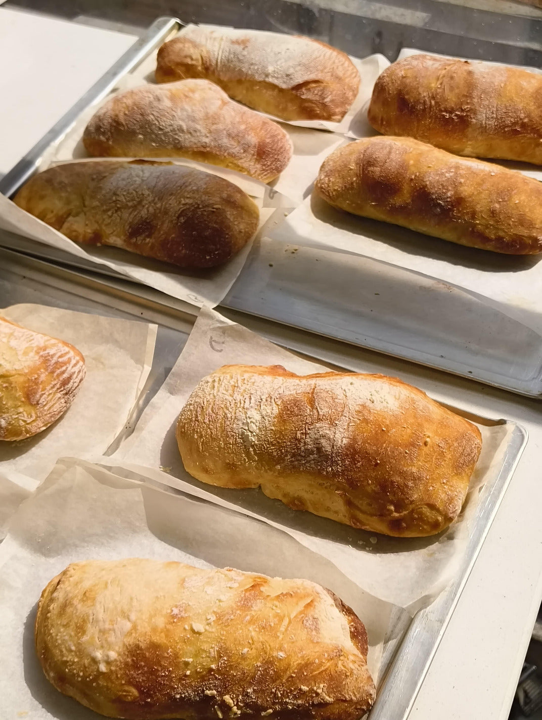Baked bread loaves on baking trays with parchment paper